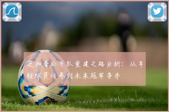 芝加哥公牛队重建之路分析：从年轻球员培养到未来冠军争夺