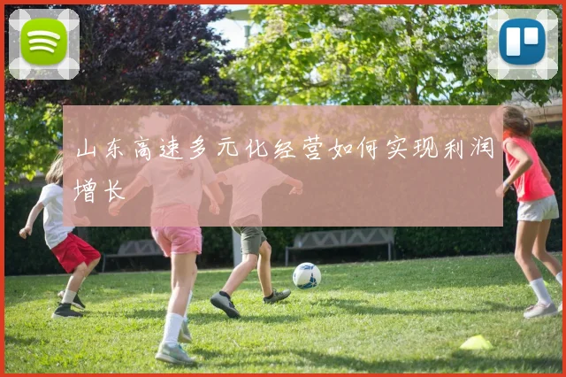 山东高速多元化经营如何实现利润增长