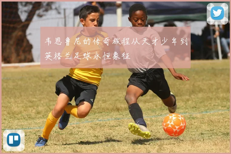 韦恩鲁尼的传奇旅程从天才少年到英格兰足球永恒象征